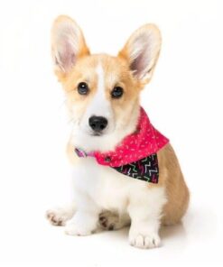 JUICY bandana pasja rutica - slika 3