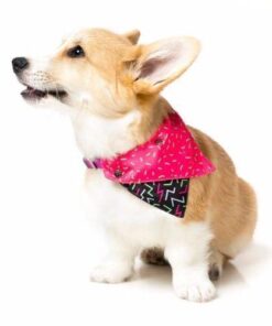 JUICY bandana pasja rutica - slika 4