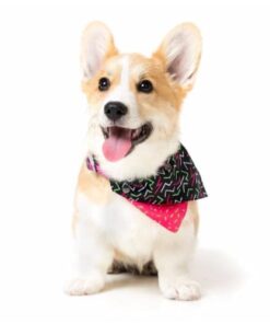 JUICY bandana pasja rutica - slika 5