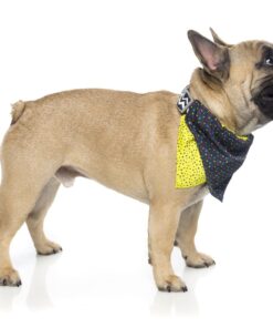 CHOMP bandana pasja rutica - slika 4