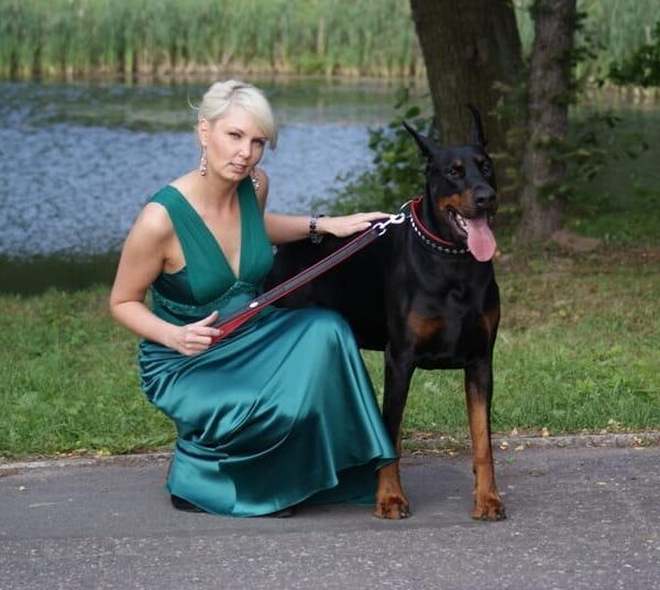 Alternative view of Usnjen povodec EXCLUSIVE kratek