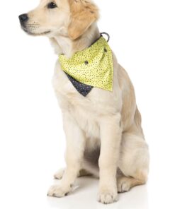 CHOMP bandana pasja rutica - slika 3