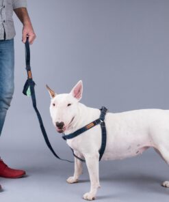 Povodec za psa Denim - slika 6