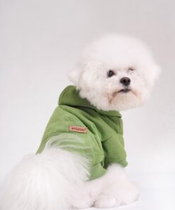 Jopič s kapuco Hoodie Texas - slika 9
