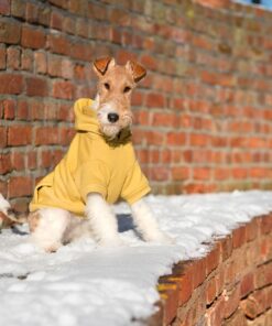 Jopič s kapuco Hoodie Texas - slika 12