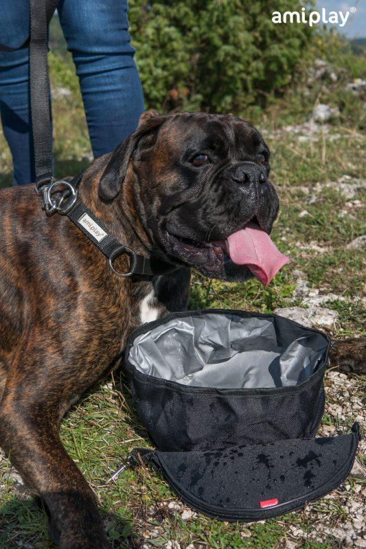 Potovalni zabojnik za pasjo hrano amiTravel – slika 8