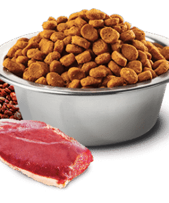 N&D Quinoa Dog Skin&Coat Duck&Coconut raca s kokosom - slika 2