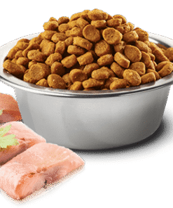 N&D Ocean Fish Dog Adult MINI GrainFree riba s pomarančo - slika 2