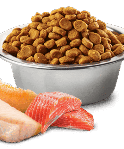 N&D Ocean Fish Dog GrainFree losos in polenovka z melono - slika 2