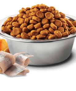 N&D Ocean Fish Dog Adult Mini GrainFree polenovka z bučo in pomarančo - slika 2