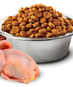 N&D Quinoa Cat Skin&Coat Quail&Coconut prepelica s kokosom - slika 2