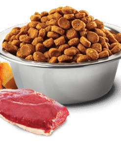 N&D Grainfree Pumpkin Cat raca z melono - slika 2