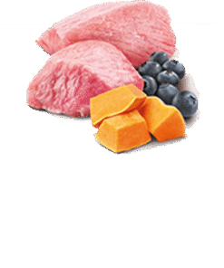 N&D Pumpkin Dog Puppy Mini konzerva jagnjetina z bučo in borovnicami 140 g - slika 2
