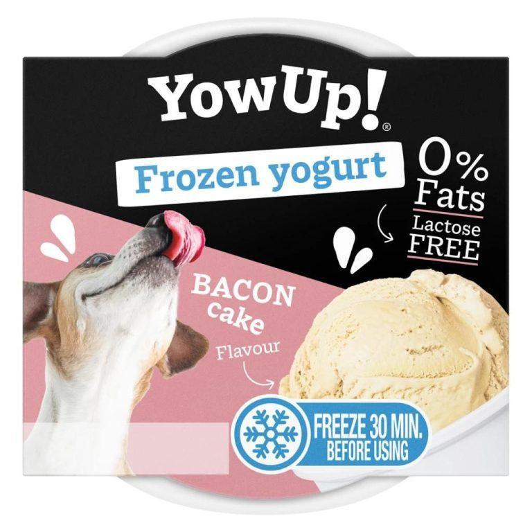 YowUp! Frozen Yogurt zamrznjen jogurt pasji sladoled slanina