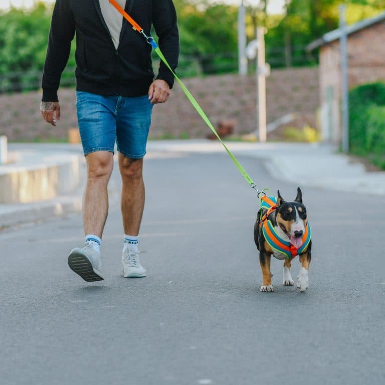 Povodec za psa ACTIVE nastavljive dolžine – slika 3
