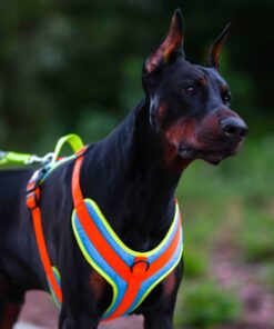 Nastavljiva oprsnica Guard Active - slika 6