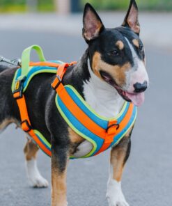 Nastavljiva oprsnica Guard Active - slika 2