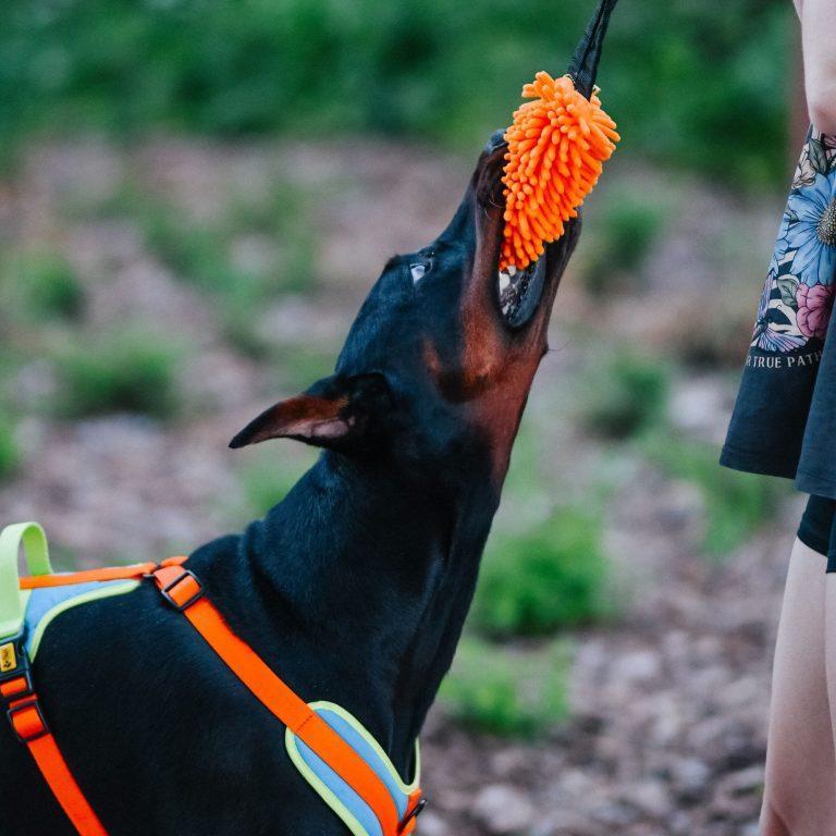 Igrača za psa TUGGY microfibra z BUNGEE ročajem – slika 8