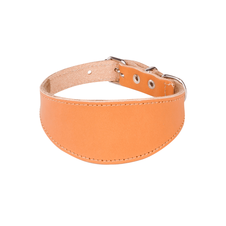 Usnjena ovratnica za hrte CLASSIC