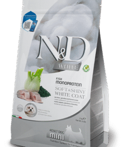 nd white dog