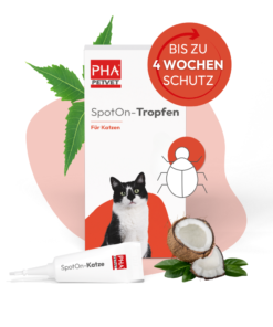 PHA Spot-On ampule za mačke proti klopom in bolham 2x1,5ml
