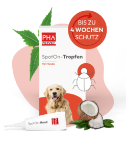 PHA Spot-On ampule za pse proti bolham in klopom 2x2ml