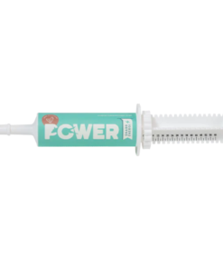 POWER energijska pasta za vrhunsko zmogljivost ali hitrejšo regeneracijo
