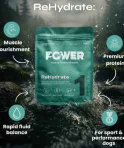 Alternative view of POWER REHYDRATE elektroliti in proteini za hitrejšo regeneracijo