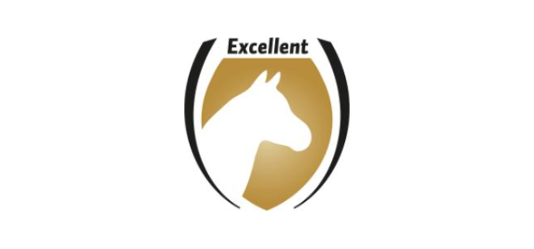 Excellent Horse