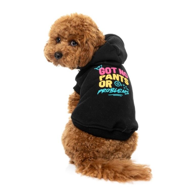Pulover Got No Pants